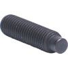 M12 x 30 SKT SET SCREW DOG (14.9) thumbnail-3