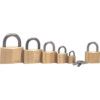 20x10.3mm SHACKLE SOLID BRASS PADLOCK thumbnail-0